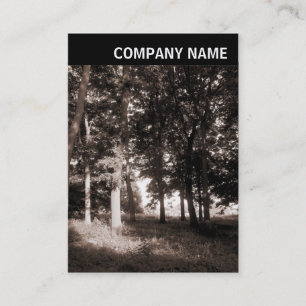 V. Rubrik - Foto - Parklandschaft Visitenkarte