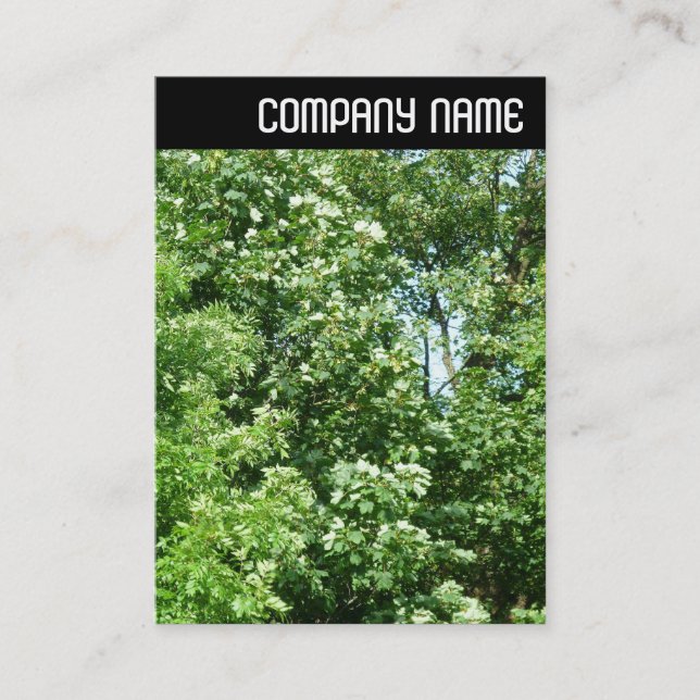 V. Rubrik - Sommerfrische Visitenkarte (Vorderseite)