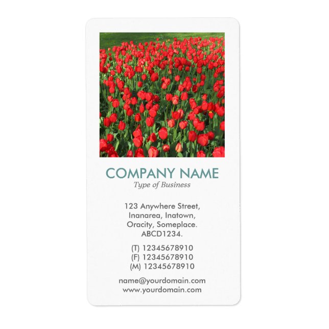 V Square Foto - Bett of Red Tulips 02 (Vorne)