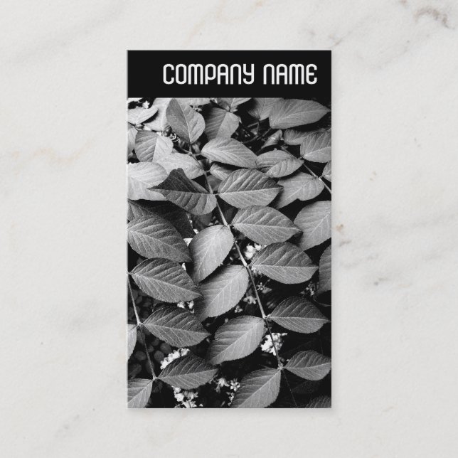 V Überschrift - Blätter Visitenkarte (Vorderseite)