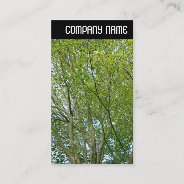 V Überschrift - Japanisches Ahorn Visitenkarte (Vorderseite)