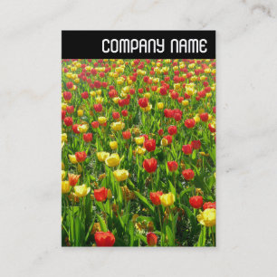 V Überschrift - Meer der Tulpen II Visitenkarte