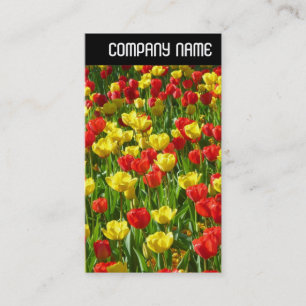 V Überschrift - Meer der Tulpen III Visitenkarte
