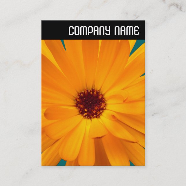 V Überschrift: Orange Marigold Visitenkarte (Vorderseite)