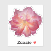 Vaginalpastel Pink Rose Illustration Custom