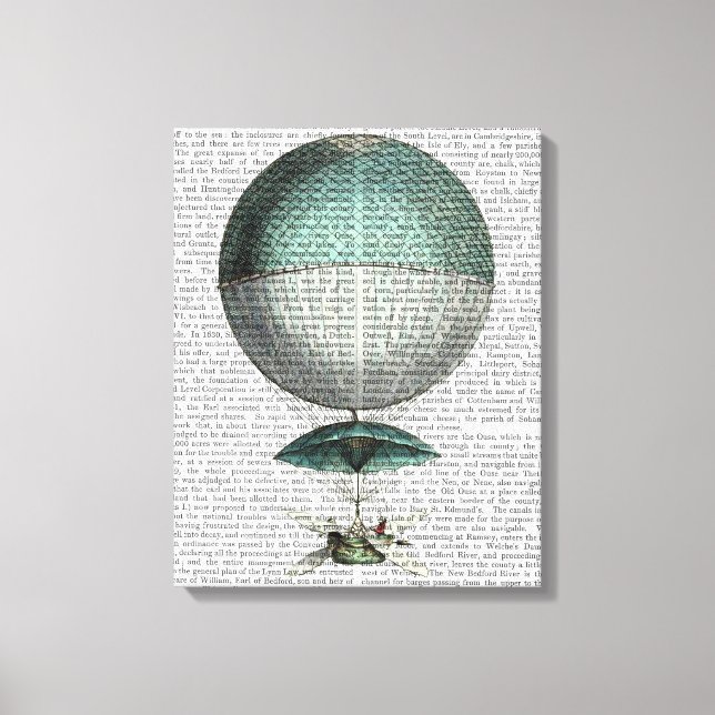 Vaisseau Volant Hot Air Ballon Leinwanddruck (Vorderseite)