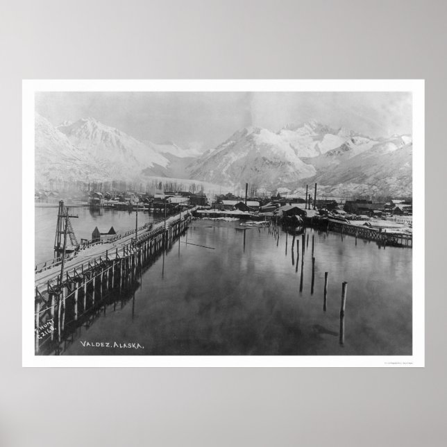 Valdez, Alaska Birdseye 1905 Poster (Vorne)