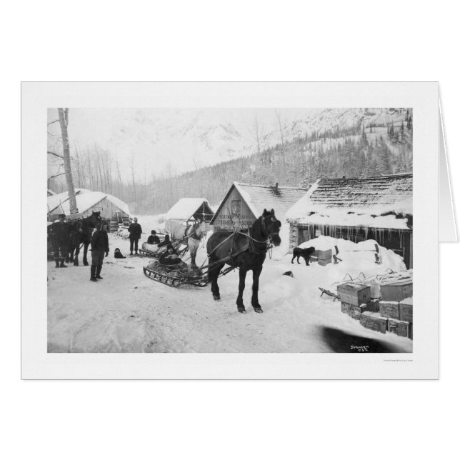 Valdez Hinterpferde Alaska 1912 (Vorderseite (Horizontal))