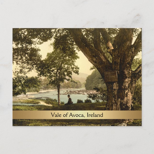 Vale of Avoca, Landkreis Wicklow, Irland Postkarte (Vorderseite)