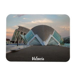 Valencia ciudad de las artes y las ciencias magnet