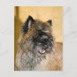 Valentin Postkarte