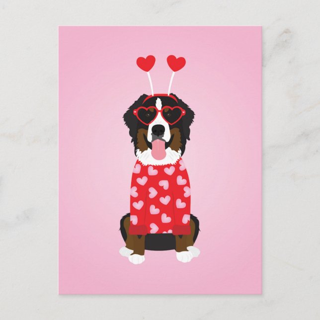 Valentine Bernese Mountain Dog Postkarte (Vorderseite)
