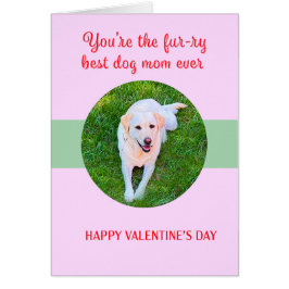 Valentine Best Hund Mama Liebe Niedlich