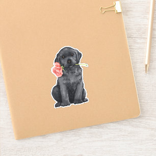 Valentine Black Lab Vinyl Sticker