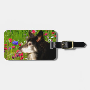 Valentine Border Collie mit wunderschönen Blume Gepäckanhänger