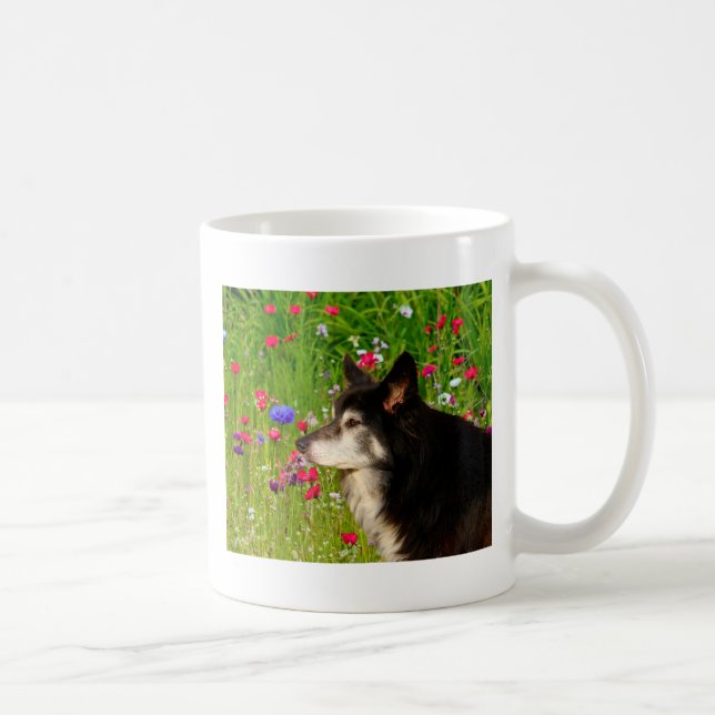 Valentine Border Collie mit wunderschönen Blume Kaffeetasse (Rechts)