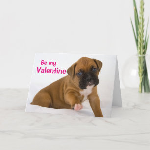 Valentine Boxer Welpenkarte Feiertagskarte