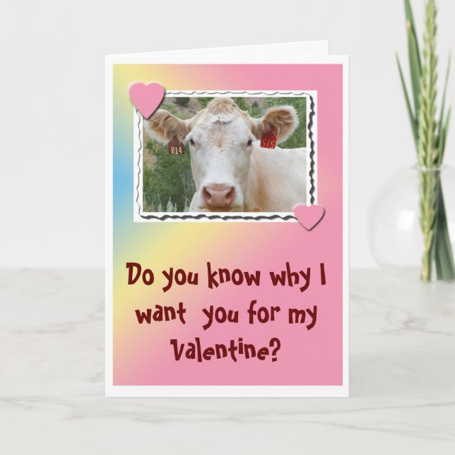 Valentine Cow-Greeting Card Feiertagskarte (Vorderseite)