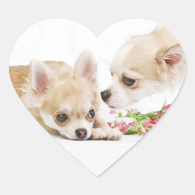 Valentine Dog Stickers (Vorderseite)