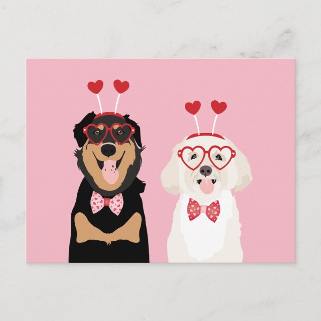 Valentine Dogs Rottweiler Maltipoo Puppy Postkarte (Vorderseite)