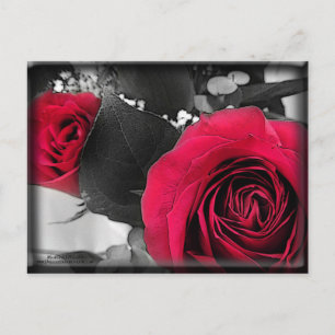 Valentine Feiertagspostkarte