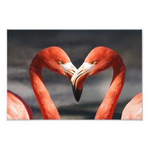 Valentine Flamingo Fotodruck