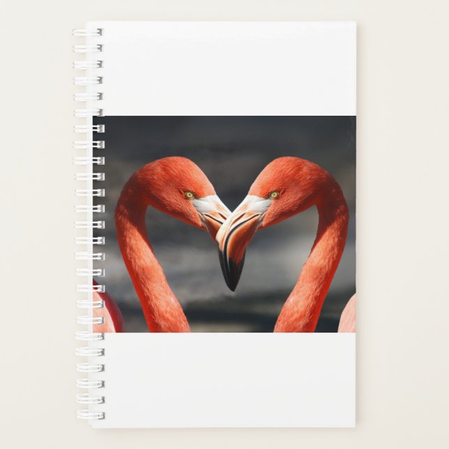 Valentine Flamingo Planer (Vorderseite)