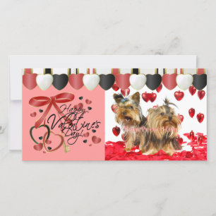 Valentine Foto Cards für Ihre Haustiere! Feiertagskarte