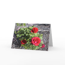 Valentine für einen Bereaved-Ehemann oder eine Ehe