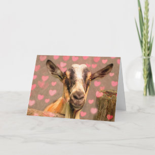 Valentine Goat Feiertagskarte