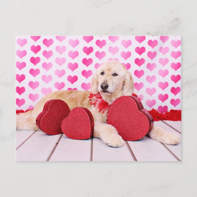 Valentine - Golden Doodle - Maggie Feiertagspostkarte (Vorderseite)
