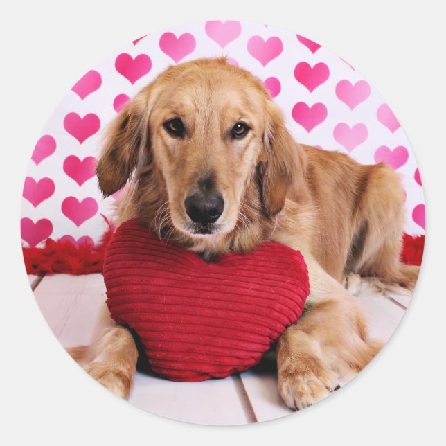 Valentine - Golden Retriever - JJ Runder Aufkleber (Vorderseite)