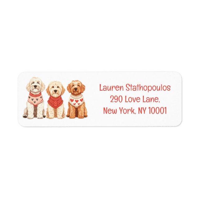 Valentine Goldendoodle Hunde (Vorne)