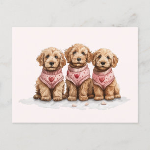 Valentine Goldendoodle Hunde Postkarte