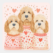 Valentine Goldendoodle Hunde