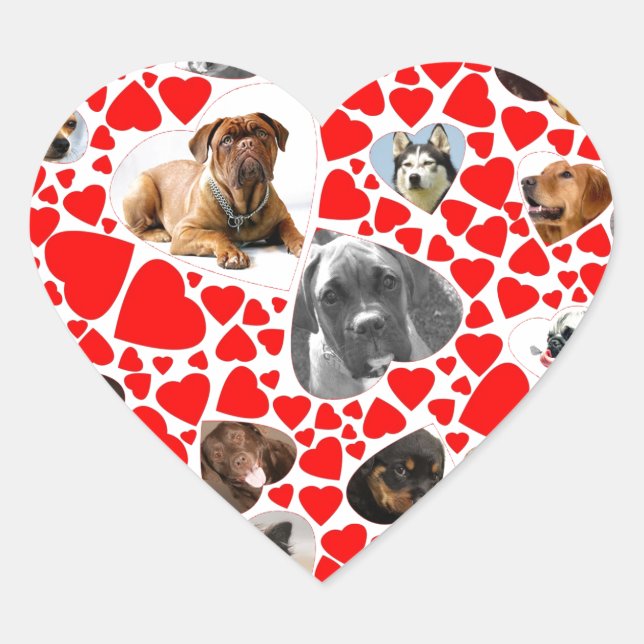 Valentine Heart Dog FotoCollage Herz-Aufkleber (Vorderseite)