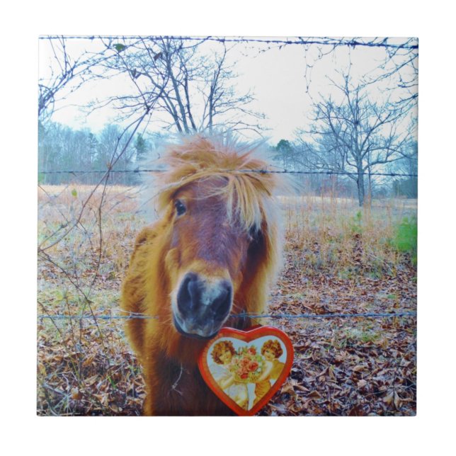 Valentine Heart Horse Fliese (Vorderseite)