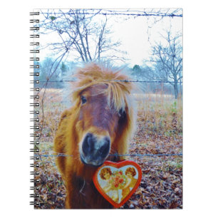 Valentine Heart Horse Notizblock