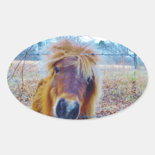 Valentine Heart Horse Ovaler Aufkleber