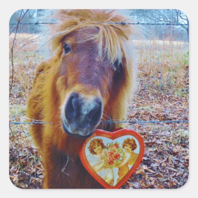 Valentine Heart Horse Quadratischer Aufkleber (Vorderseite)