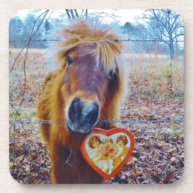 Valentine Heart Horse Untersetzer (Vorderseite)