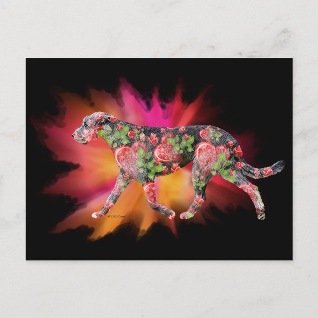 Valentine Irish Wolfhound Splash of color Postkarte (Vorderseite)
