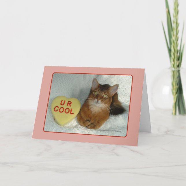 Valentine Kitty U R Coole Karte (Vorderseite)
