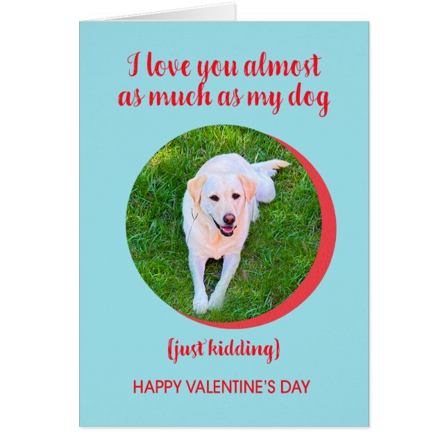 Valentine Liebe Hund mehr, nur kidden, lustig (Vorne)