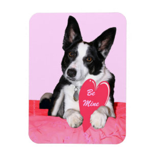 Valentine Magnet - "Magpie"