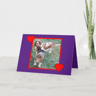 Valentine mit Niedlichen und sonnigen Basset-Hunde Feiertagskarte
