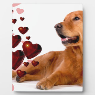 Valentine Red Hearts Golden Retriever Dog Fotoplatte