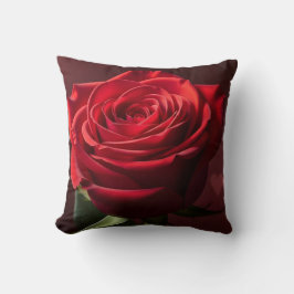 valentine red rose background romantic kissen