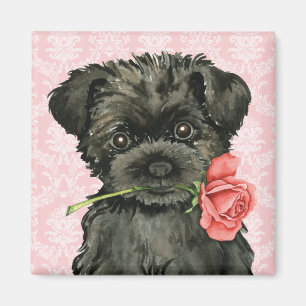 Valentine Rose Affenpinscher Magnet