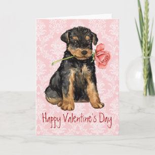 Valentine Rose Airedale Feiertagskarte